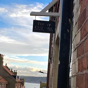 Tunny In Old Town Scarborough